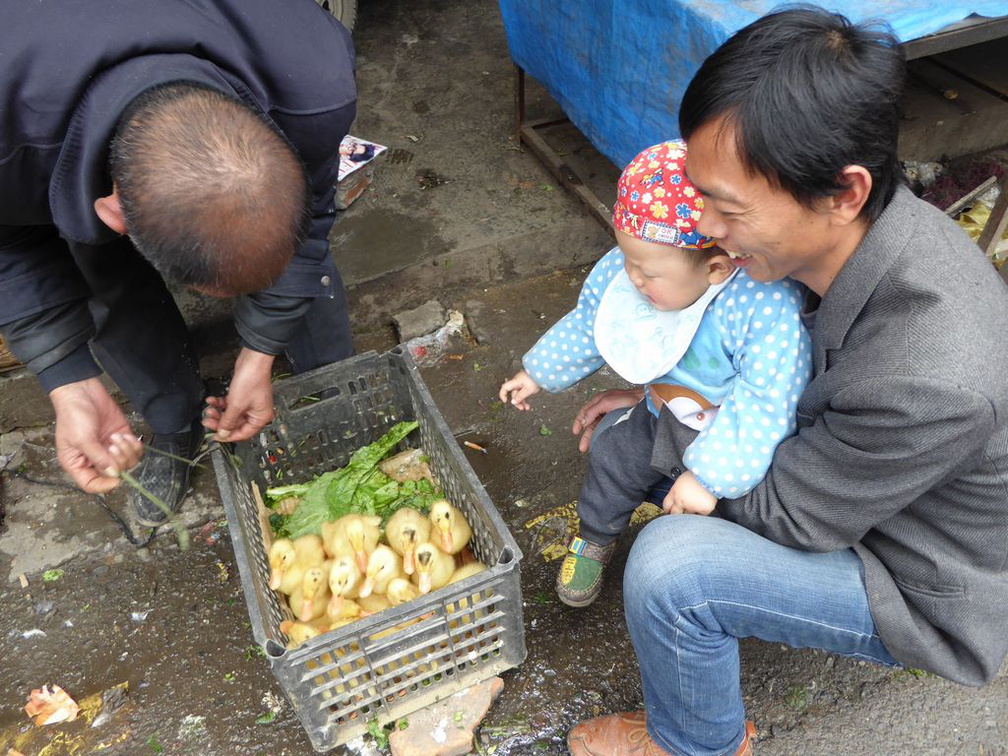 chengdu  china city 086