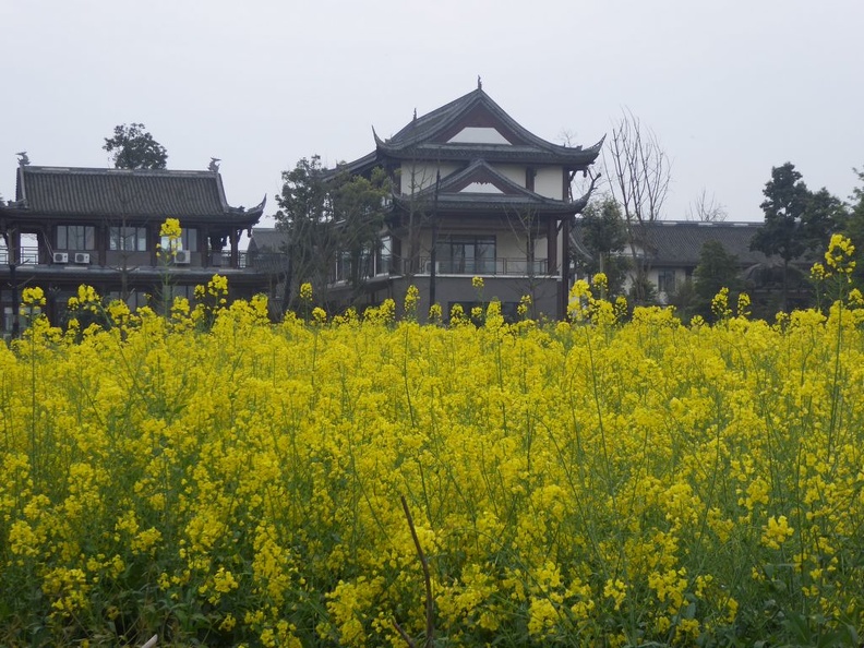 chengdu _china_city_091.jpg