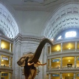 sc_smithsonian_natural_history_museum.jpg