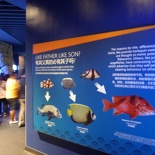 SEA-aquarium-sentosa-040