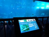 SEA-aquarium-sentosa-046