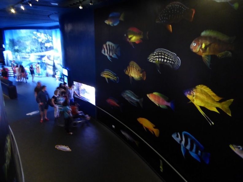 SEA-aquarium-sentosa-085