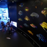 SEA-aquarium-sentosa-085