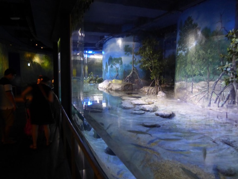 SEA-aquarium-sentosa-092