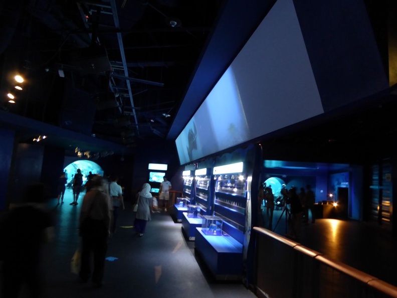 SEA-aquarium-sentosa-105.jpg