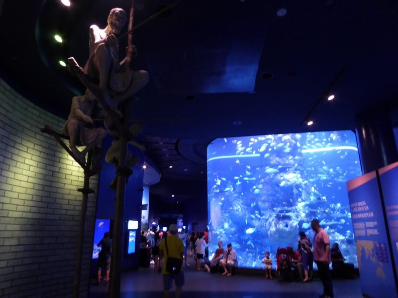 SEA-aquarium-sentosa-107.jpg