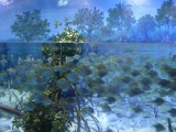 SEA-aquarium-sentosa-110