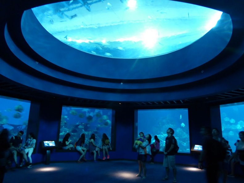 SEA-aquarium-sentosa-122.jpg