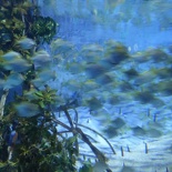SEA-aquarium-sentosa-141