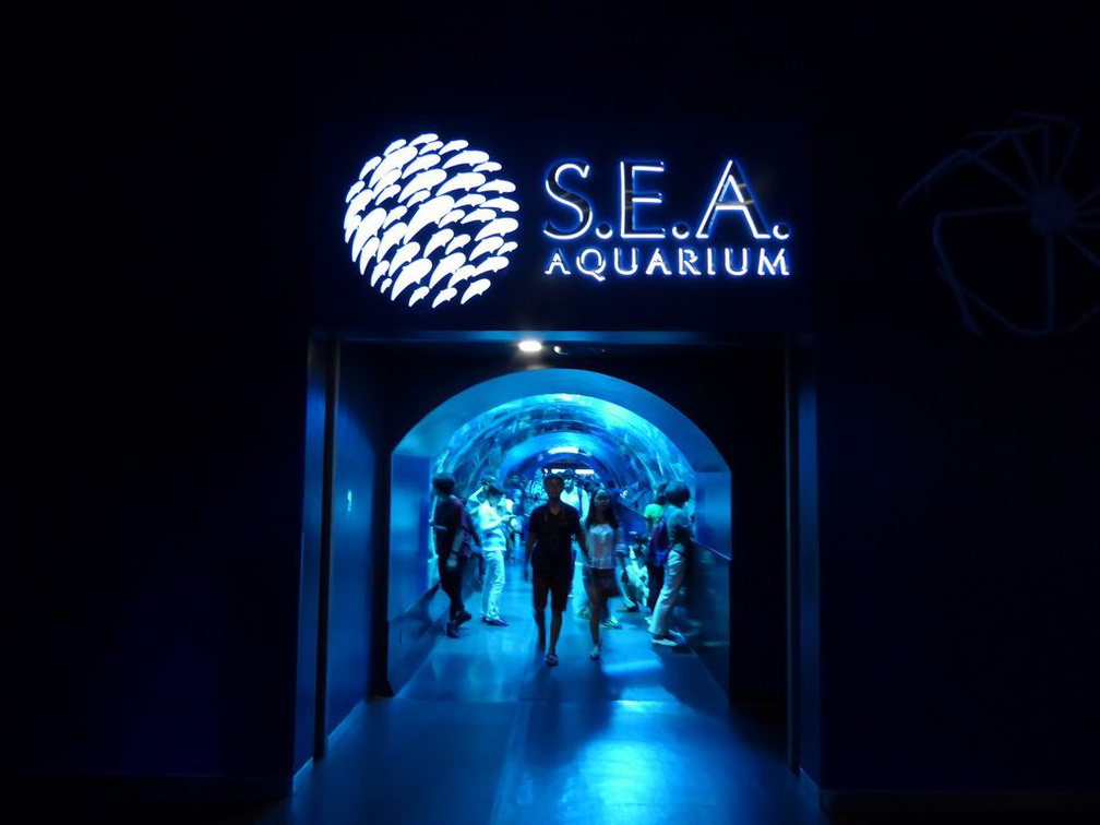 SEA-aquarium-sentosa-166