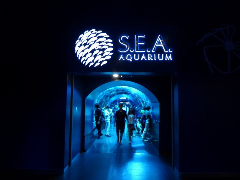 SEA-aquarium-sentosa-166.jpg