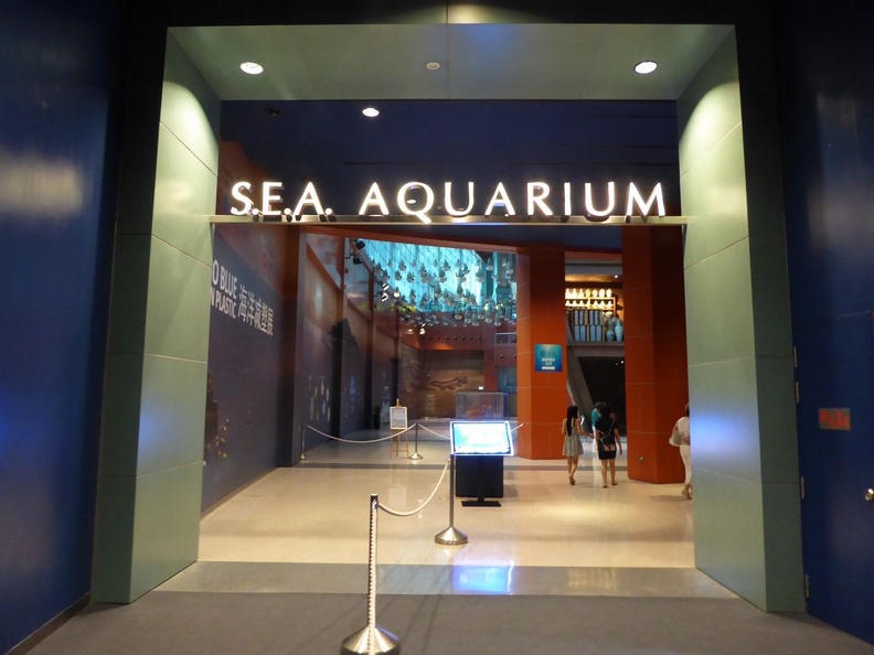 SEA-aquarium-sentosa-169