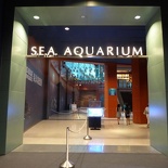 SEA-aquarium-sentosa-169
