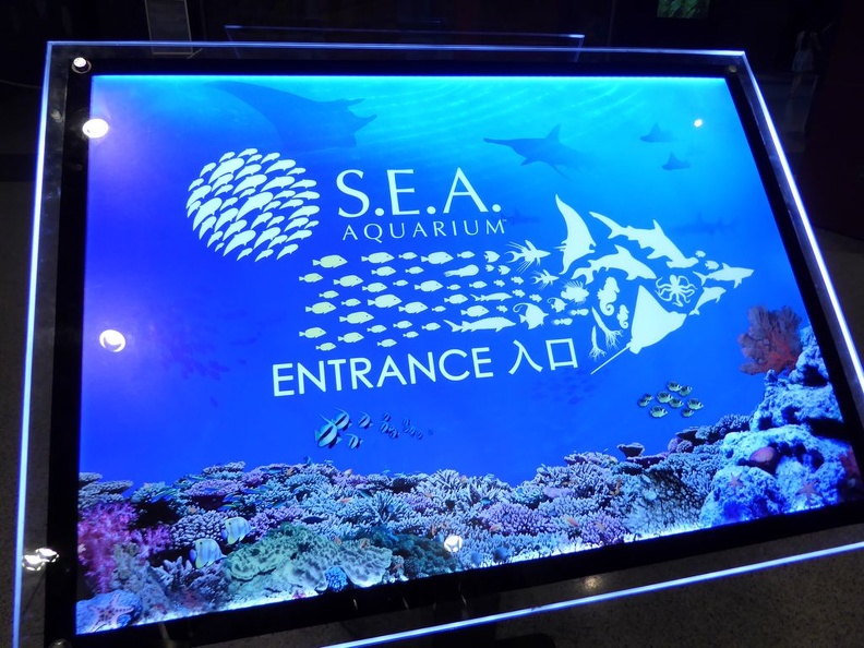 SEA-aquarium-sentosa-170