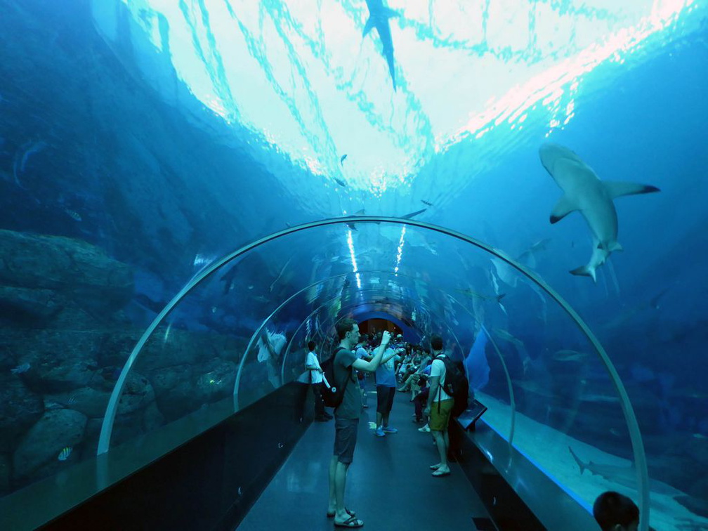 SEA-aquarium-sentosa-008