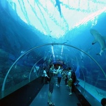 SEA-aquarium-sentosa-008
