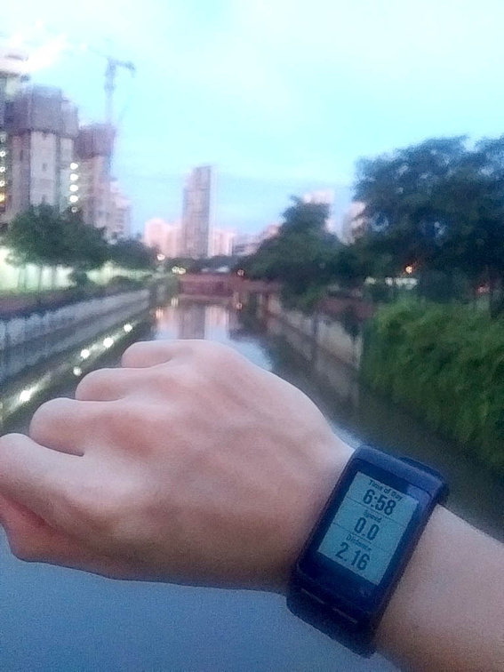 garmin vivoactiveHR 14