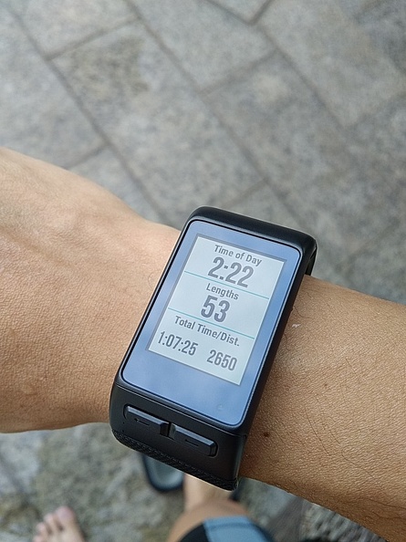 garmin vivoactiveHR 02