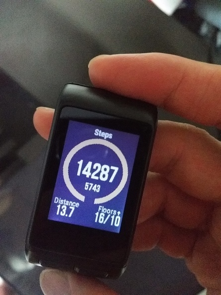 garmin_vivoactiveHR_11.jpg