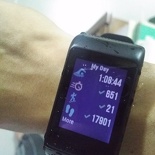 garmin vivoactiveHR 13