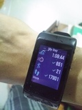 garmin vivoactiveHR 13