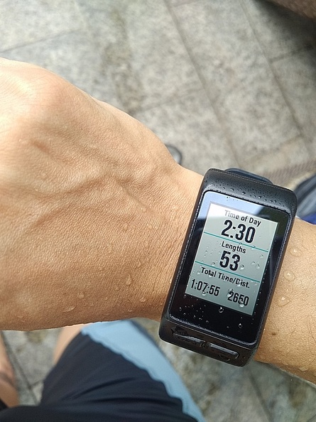 garmin_vivoactiveHR_12.jpg