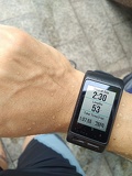 garmin vivoactiveHR 12