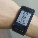 garmin vivoactiveHR 15