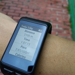 garmin vivoactiveHR 17