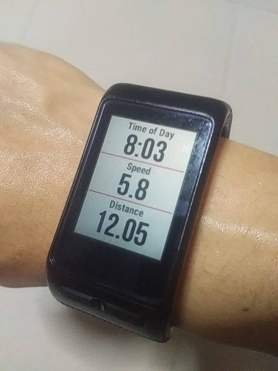 garmin vivoactiveHR 18