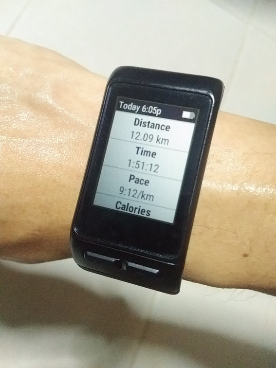 garmin vivoactiveHR 20