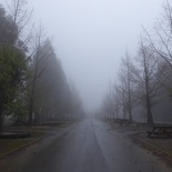 taiwan-xueshan-007