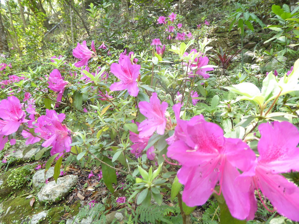 taiwan-taroko-gorge-044