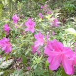 taiwan-taroko-gorge-044