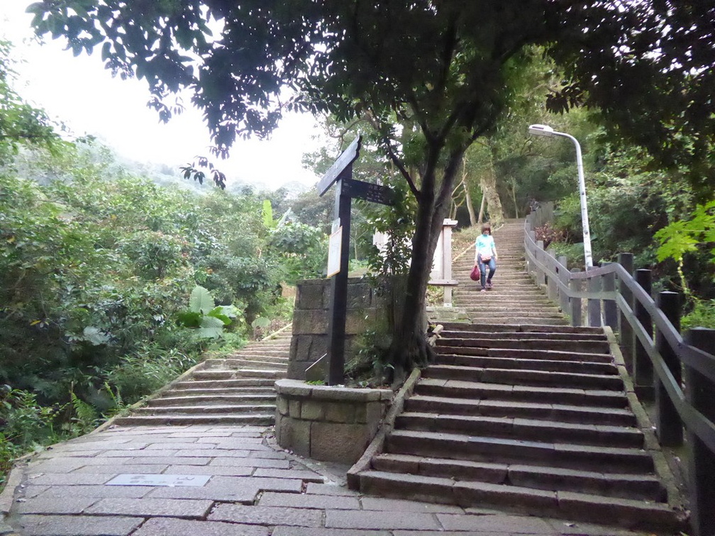 taiwan-elephant-hill-10