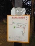 taiwan-elephant-hill-13