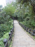 taiwan-elephant-hill-23