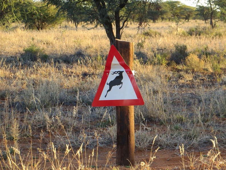 safrica-mokala-safari-065.jpg
