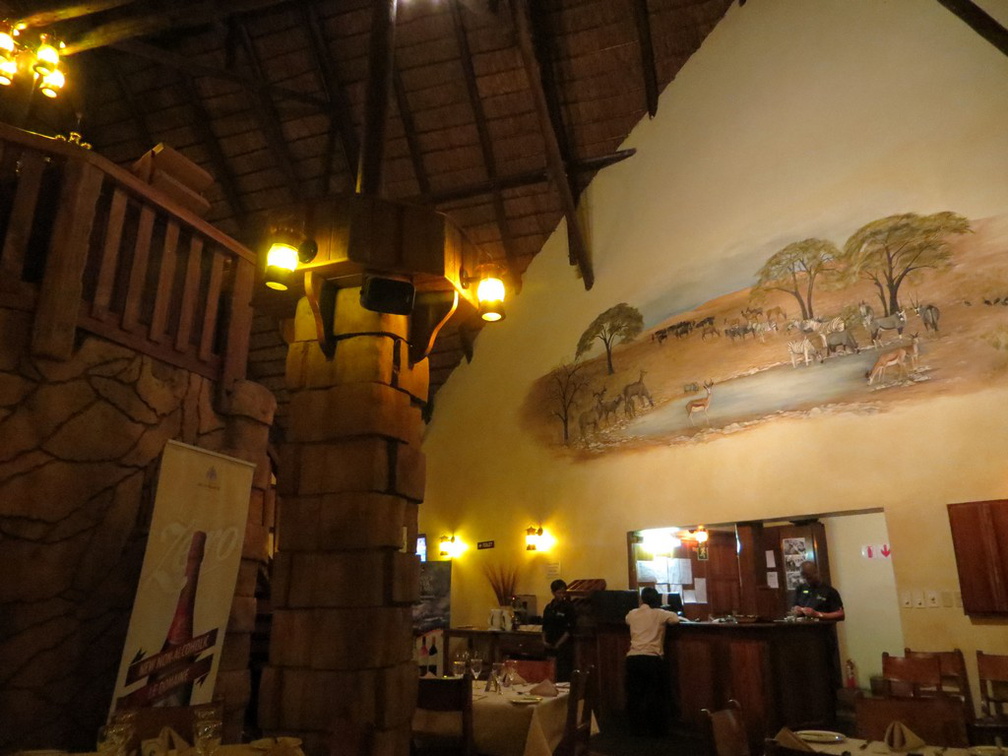 safrica-johannesburg-003