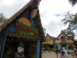 busch-gardens-tampa-030