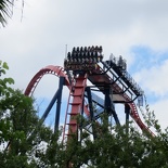 busch-gardens-tampa-033