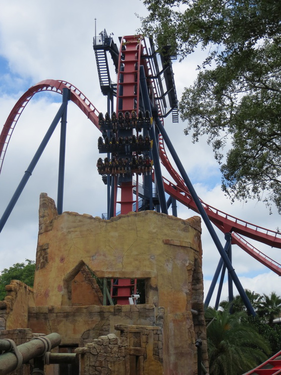 busch-gardens-tampa-034