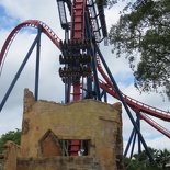 busch-gardens-tampa-034