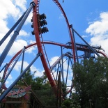 busch-gardens-tampa-037