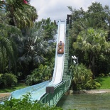 busch-gardens-tampa-038