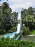 busch-gardens-tampa-038