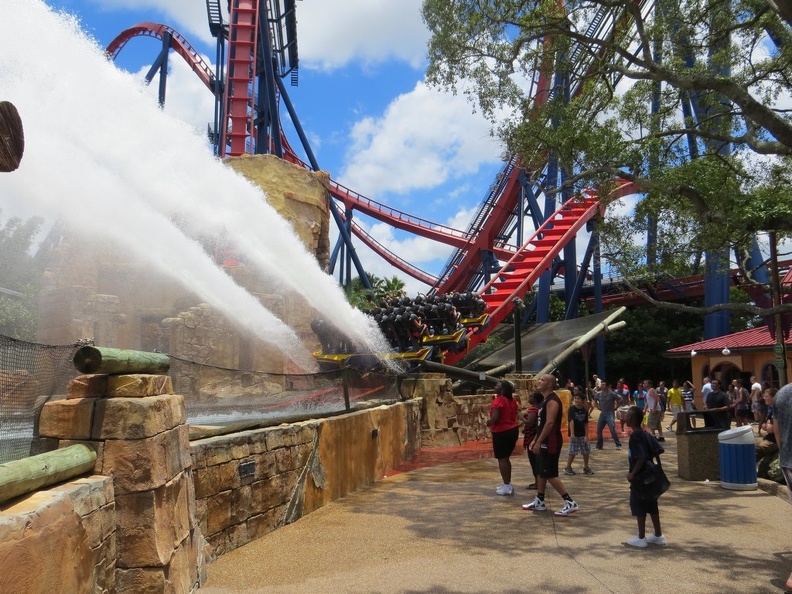 busch-gardens-tampa-043