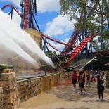 busch-gardens-tampa-043