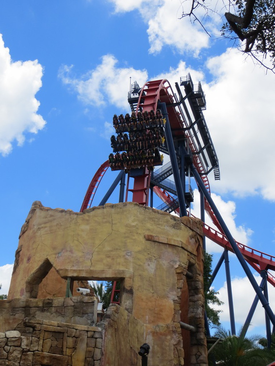 busch-gardens-tampa-044