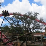 busch-gardens-tampa-045